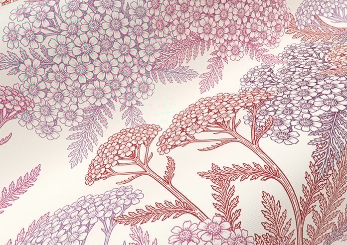 Yarrow, Cosmos - Roller Blind - Image 4